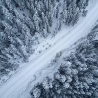 route tranversant une forêt enneigée