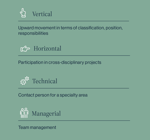 A variety of possible career paths